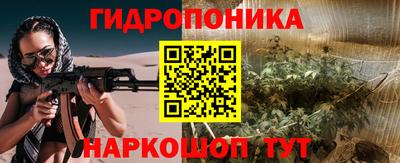 хмурый Дубна