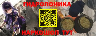 хмурый Дубна