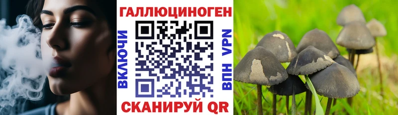 MEGA   Надым  Псилоцибиновые грибы Psilocybine cubensis 