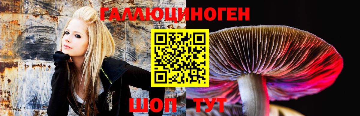Галлюциногенные грибы прущие грибы  Вход с VPN  Надым 